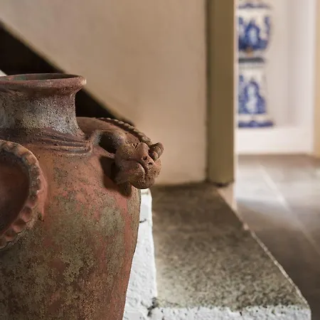 Caliborna Фасния