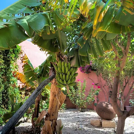 Caliborna Вилла *