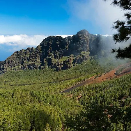 Caliborna * Фасния