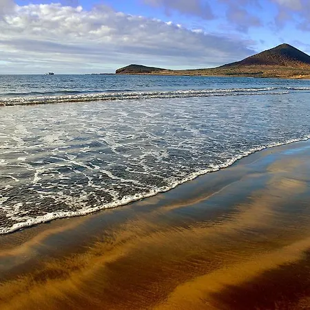 Caliborna * Фасния